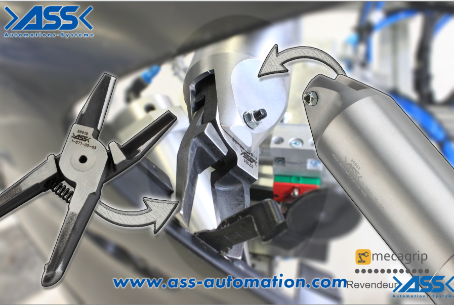 Séparation des carottes